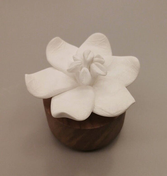 Diffuseur Jasmin d'Orient