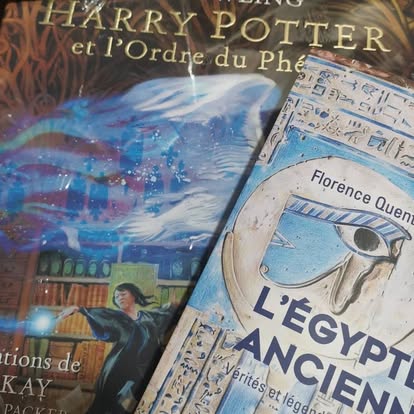 Harry Potter et l'Ordre du Phénix: Album illustrée