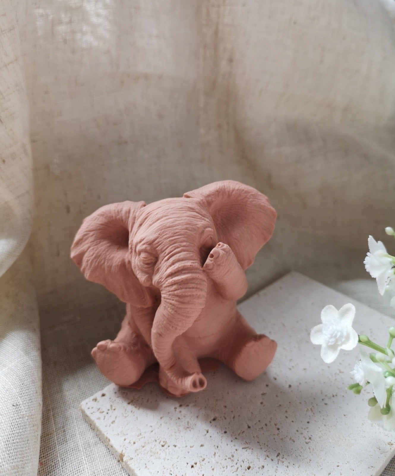 Éléphant " Je ne vois rien"