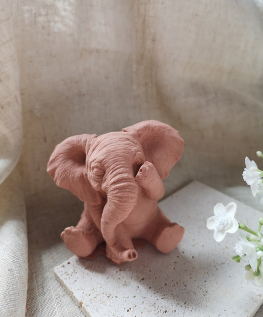 Éléphant " Je ne vois rien"