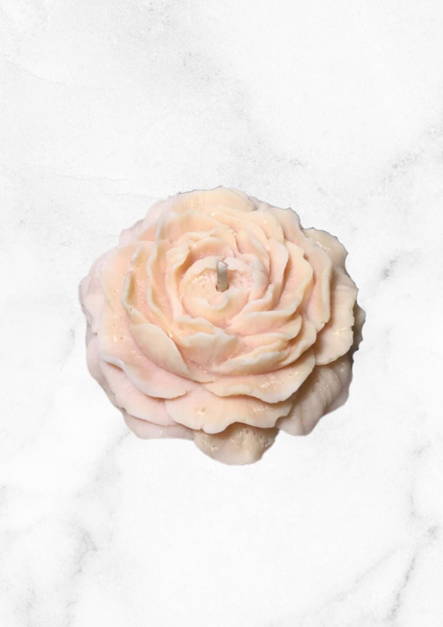 Bougie Pivoine Rose - Edition Limitée