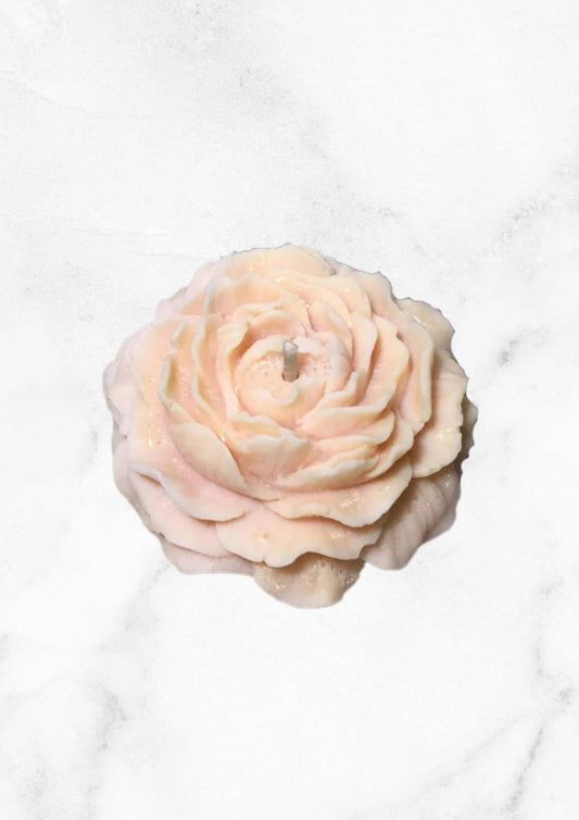 Bougie Pivoine Rose - Edition Limitée