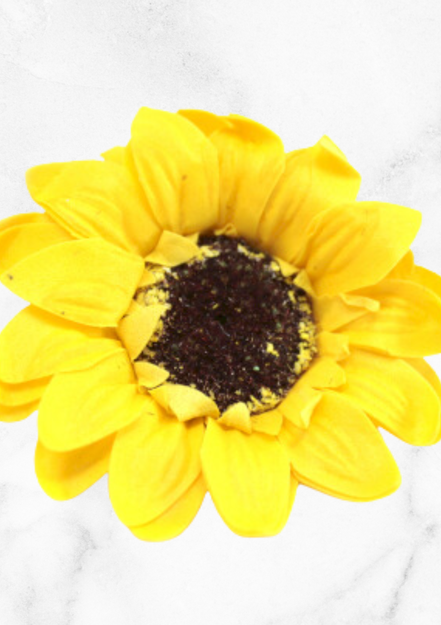 Savon Tournesol