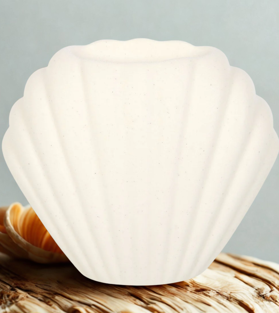 Brûleur coquillage
