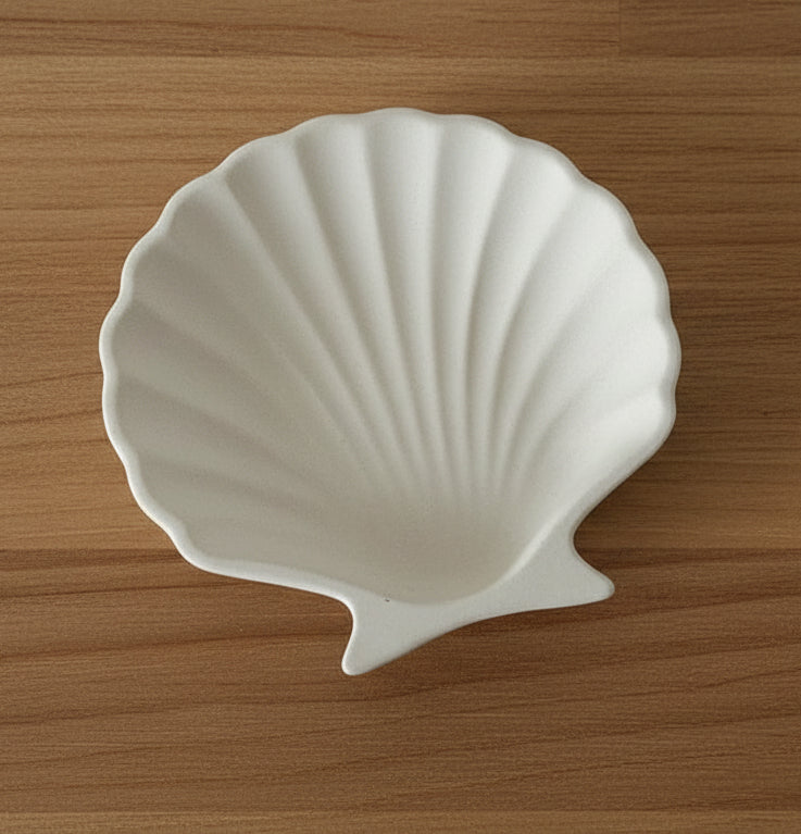 Plateau coquille Saint-Jacques