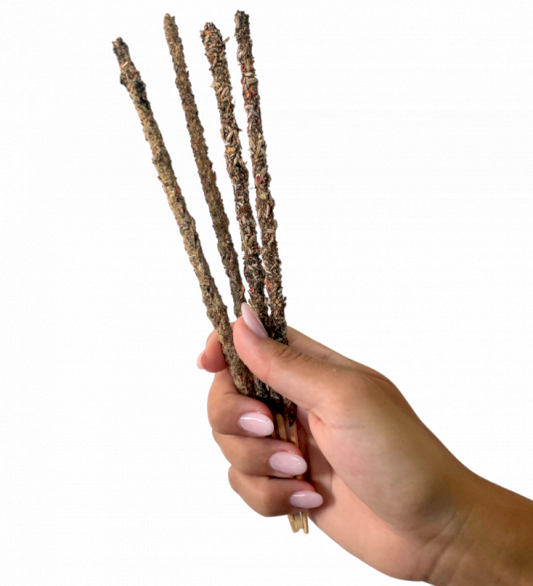 Bâtonnets d'encens inspirés de la Terre
