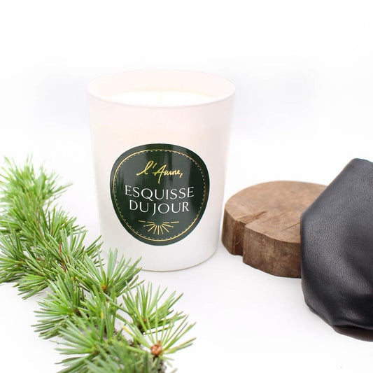 Bougie parfumée MAJESTÉ DE CUIR