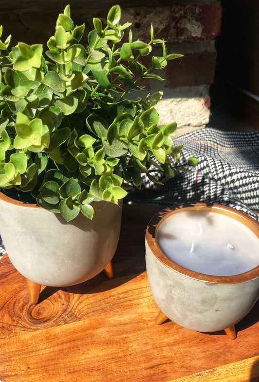 Pot de fleurs en cuivre et béton