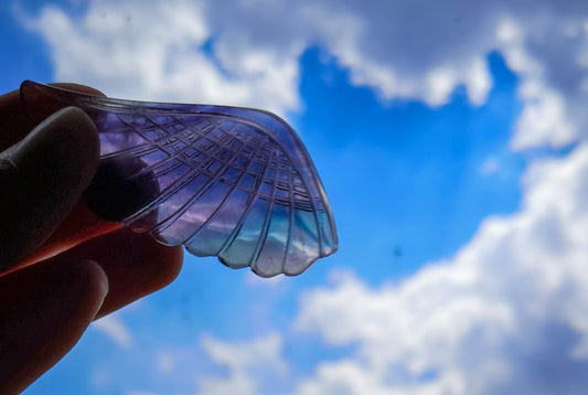 Aile en fluorite arc-en-ciel