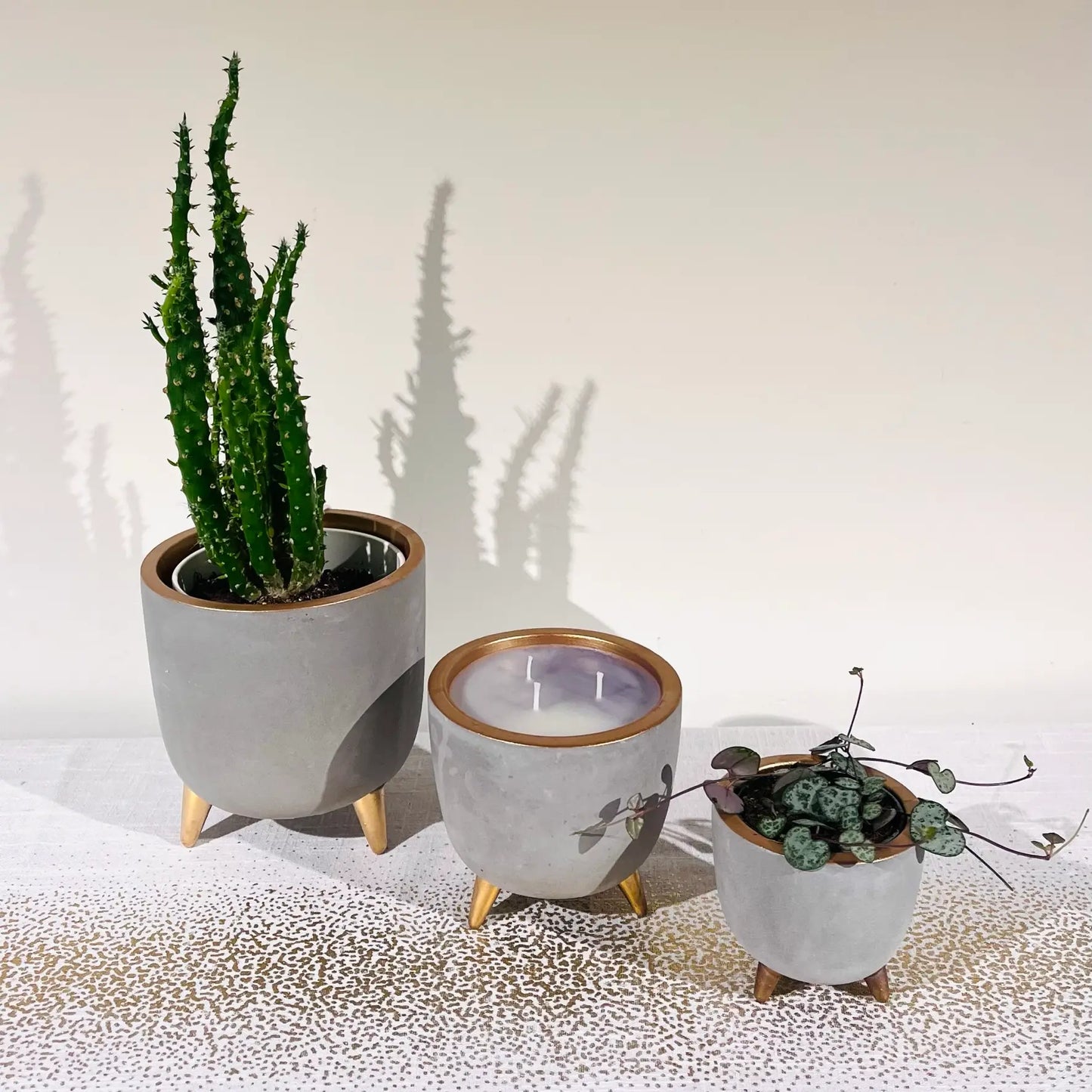 Pot de fleurs en cuivre et béton