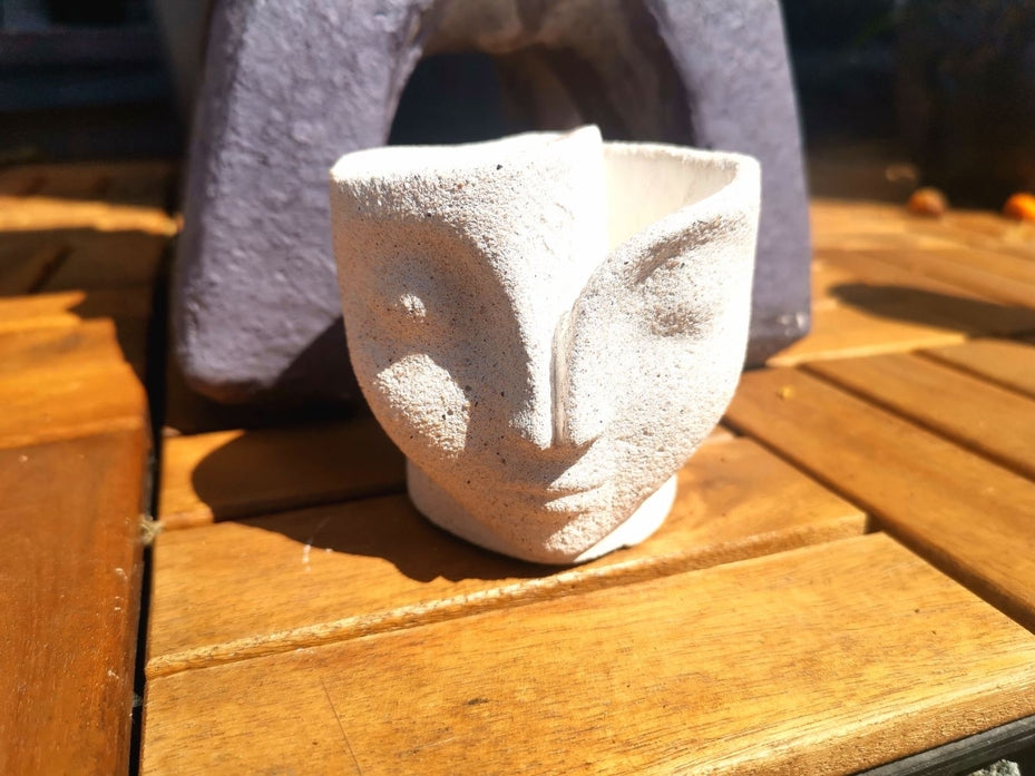 Visage divisé