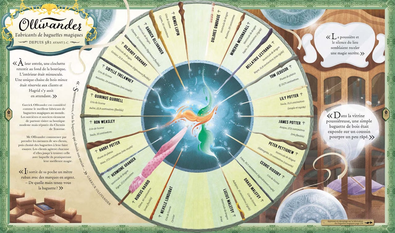 Harry Potter : le guide ultime