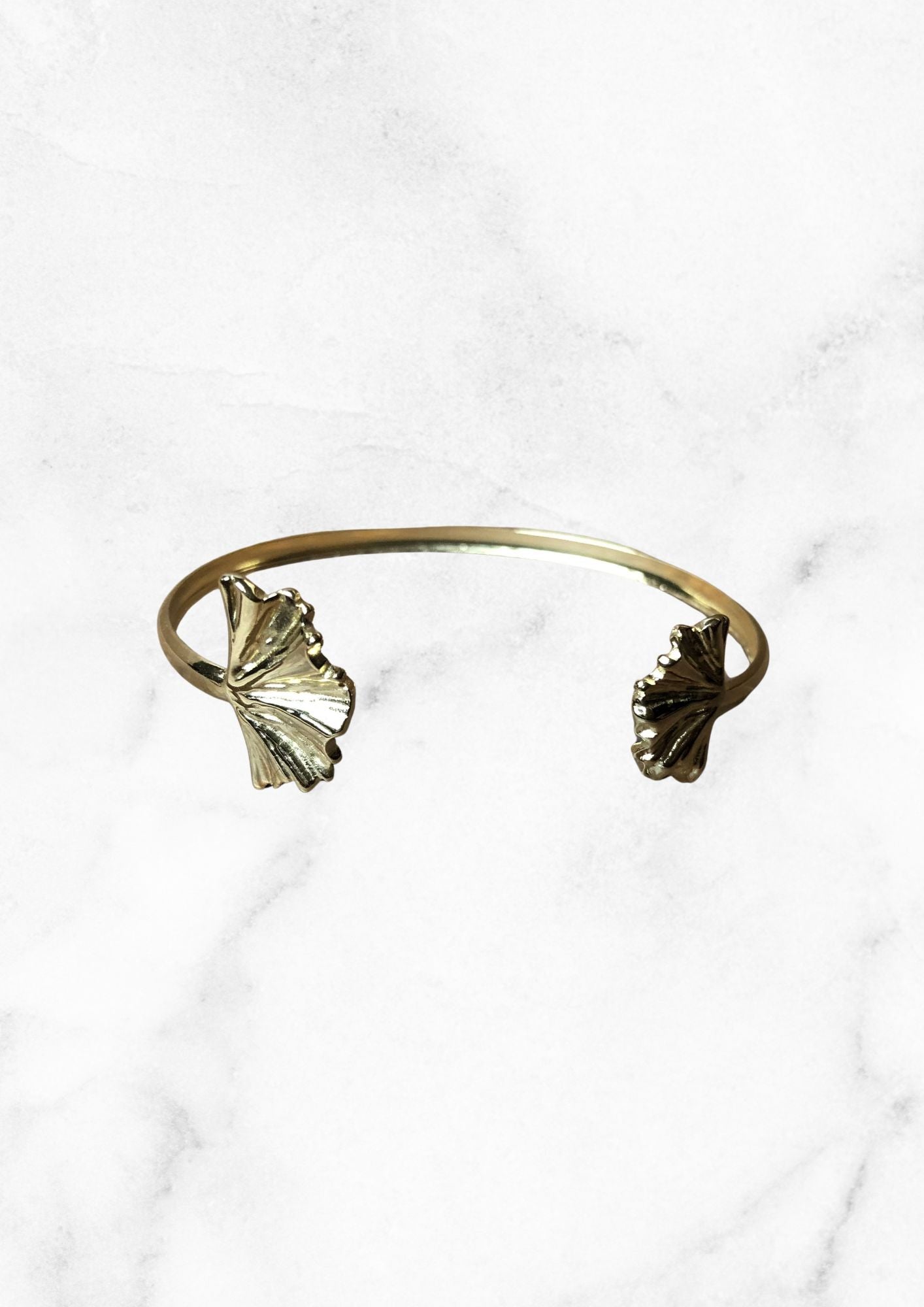Jonc ginkgo