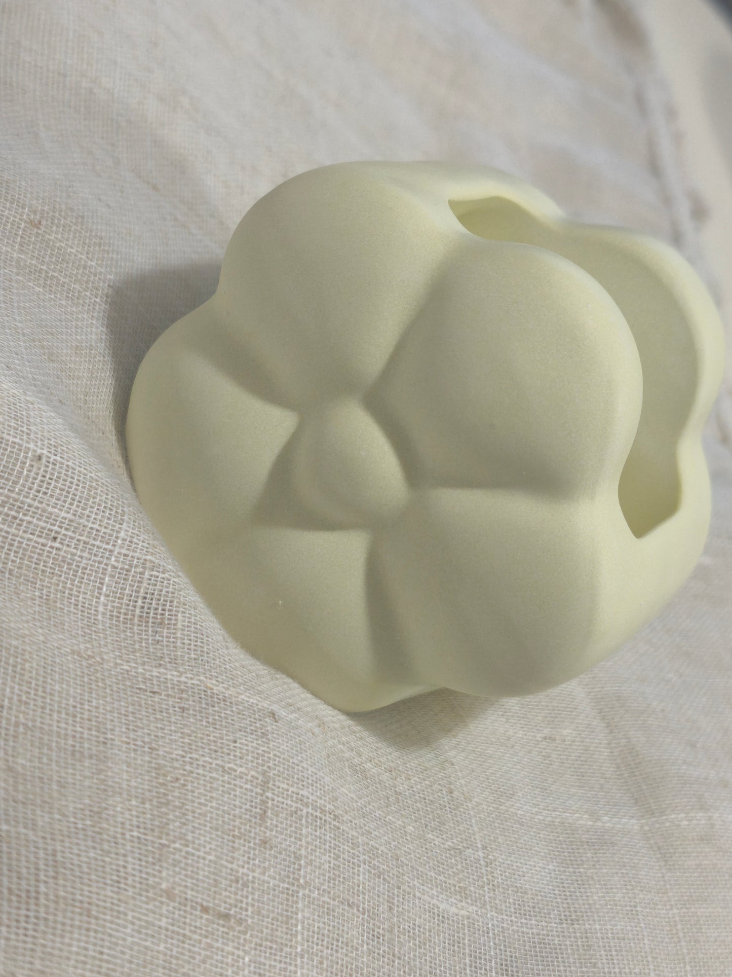 Vase fleuri