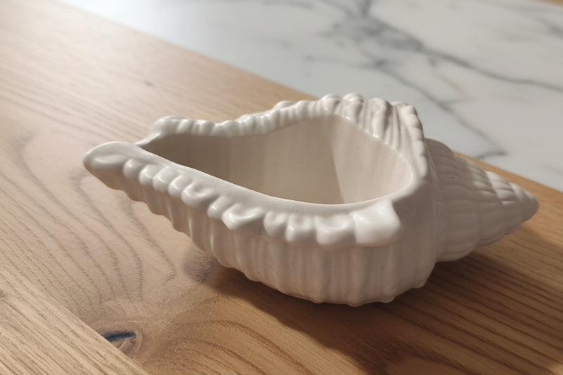 Coquillage