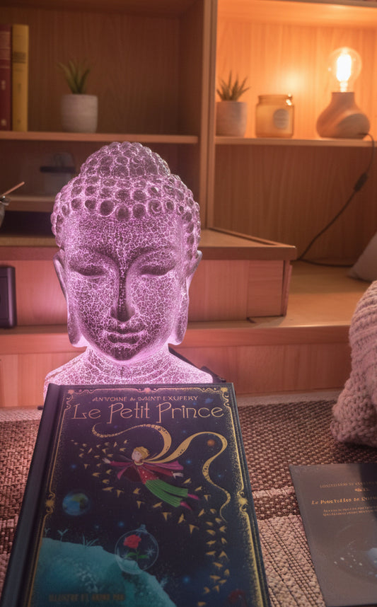 Le Petit Prince édition Minalima