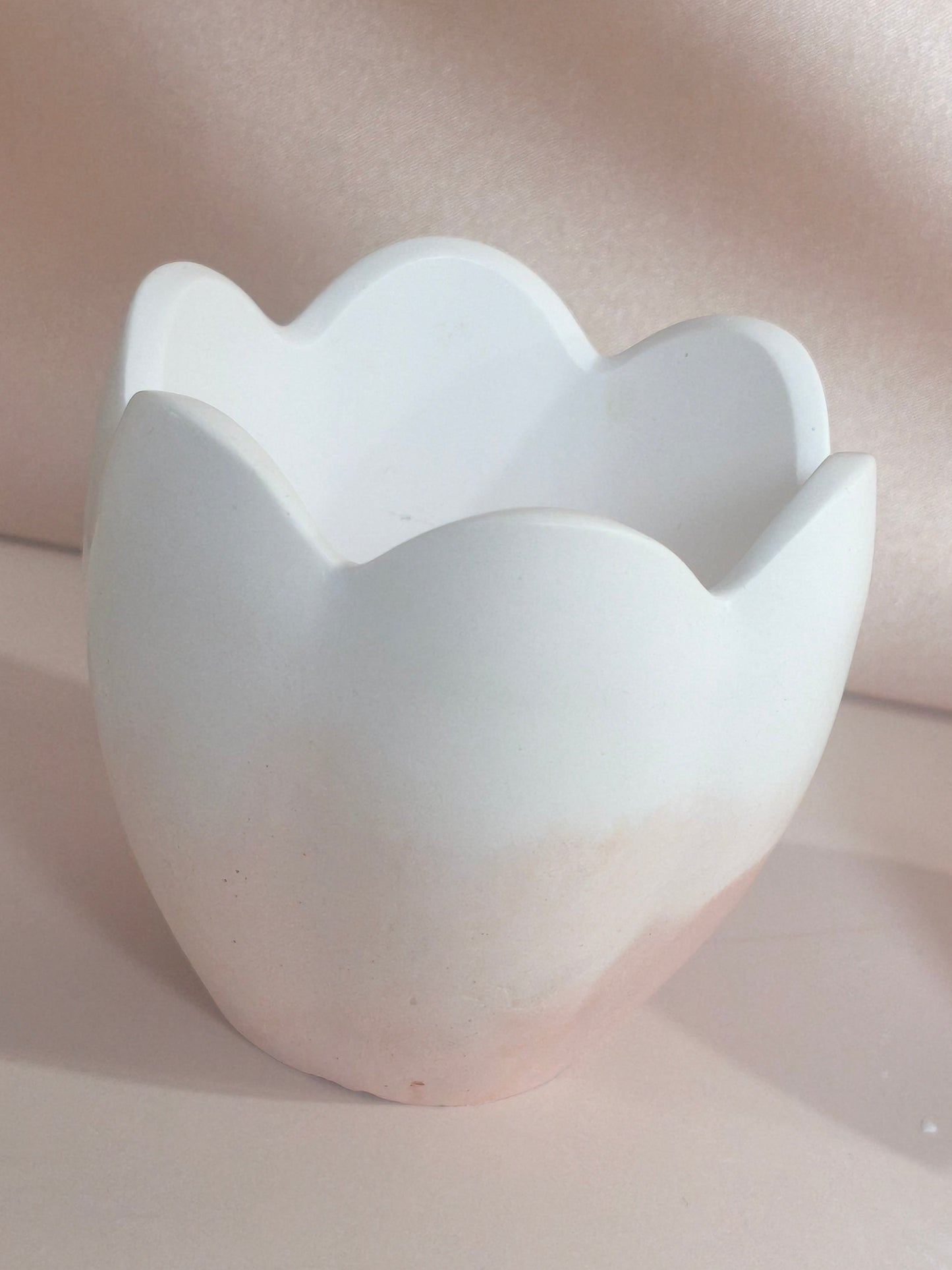Pot Tulipe