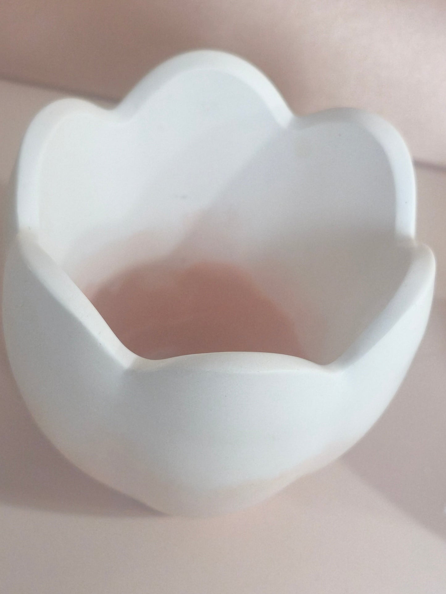 Pot Tulipe