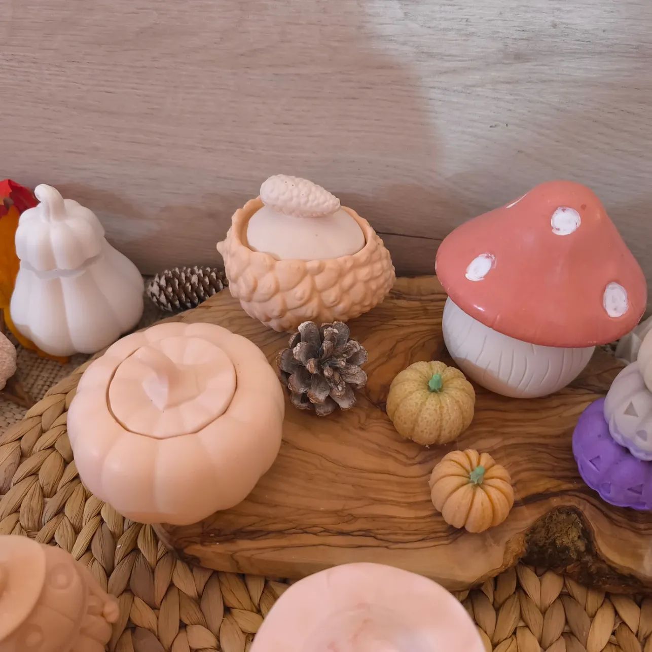 Contenant Champignon