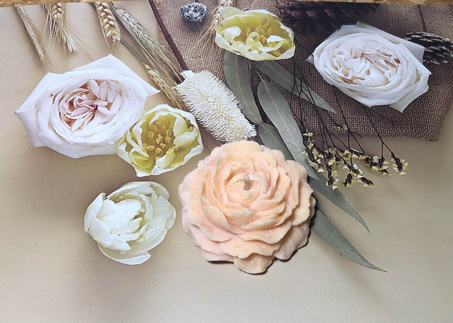Bougie Pivoine Rose - Edition Limitée